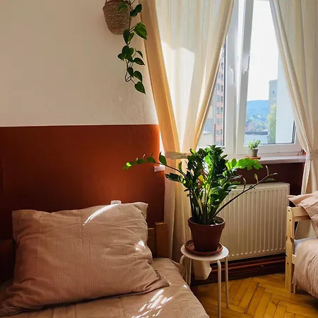 Homestay Beskid